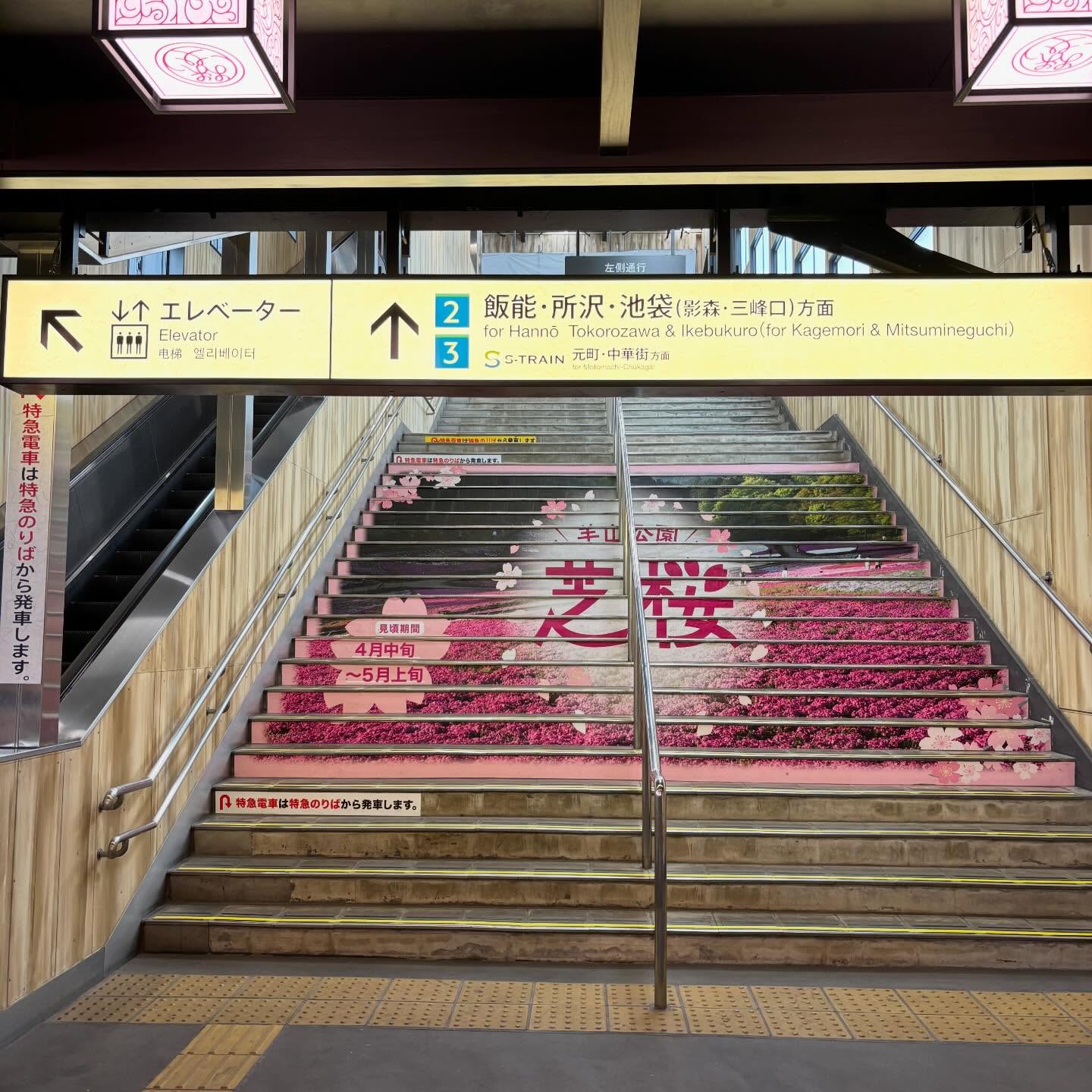 上里町、秩父市での街頭