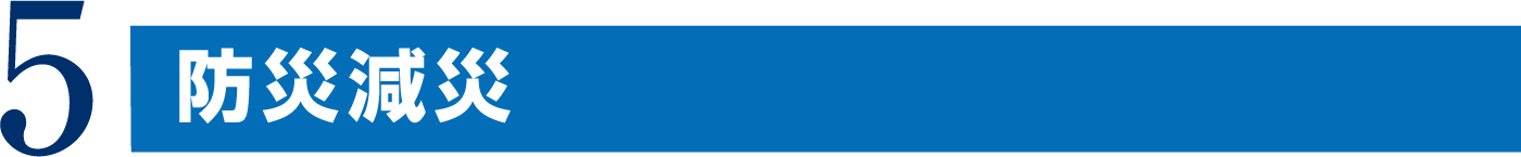 5.SDGS